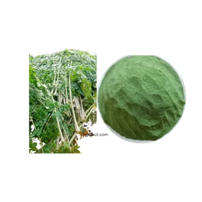 Moringa Leaf Powder / সাজনা পাতা ( ১ কেজি )