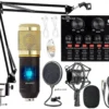 BM 800 Studio condenser Microphone set with V8 Sound Card